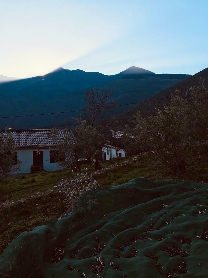 Вилла "Casa Do Avo Patricio" Mountain Experience Parada  Экстерьер фото